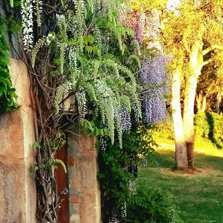 Bed & Breakfast Lamusana (adults Only) Bell-Lloc (Girona)