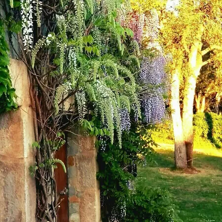 Lamusana (adults Only) 3*