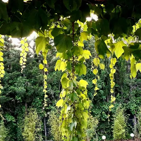 Lamusana (adults Only) Отель типа 